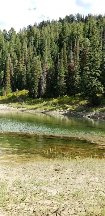 New Canyon Reservoir Picture 9