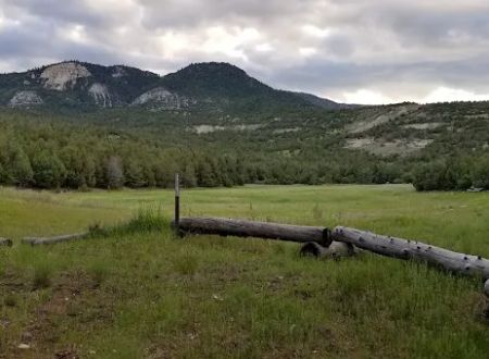 Twin Lake Campground