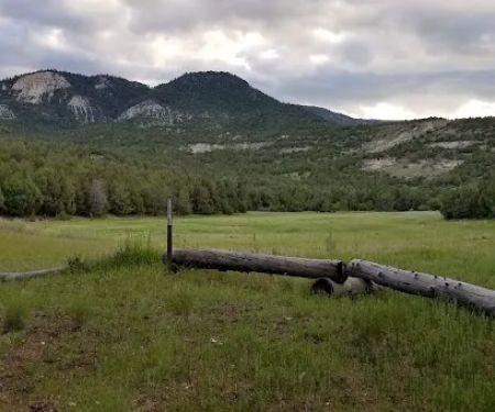 Twin Lake Campground