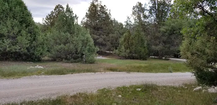 Twin Lake Campground Picture 4