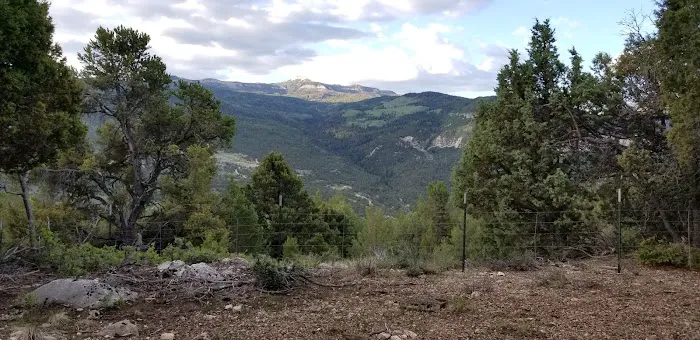 Twin Lake Campground Picture 5