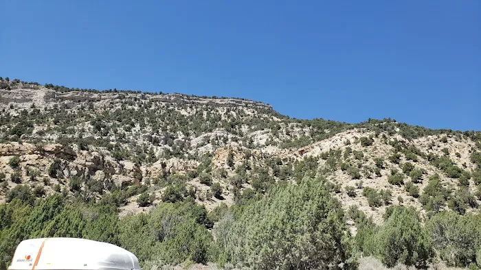 Twelve Mile Flat Campground Picture 2