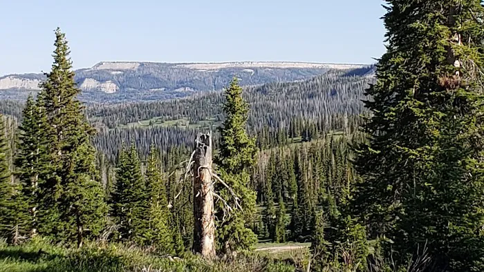Twelve Mile Flat Campground Picture 1