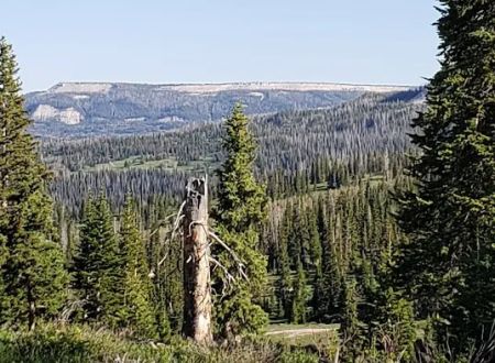 Twelve Mile Flat Campground