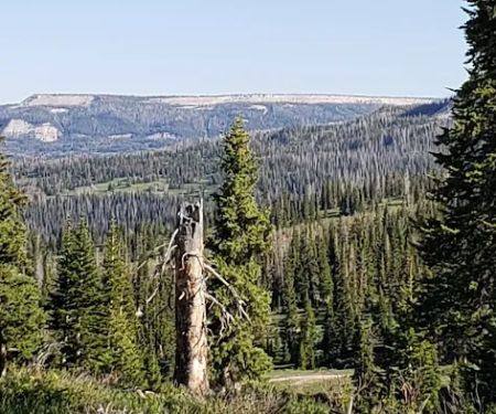Twelve Mile Flat Campground
