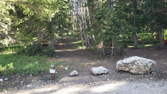 Twelve Mile Flat Campground Picture 6