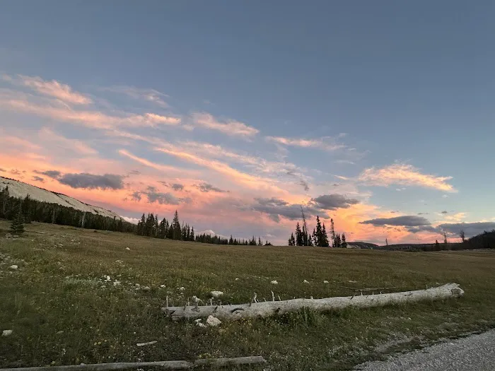 Twelve Mile Flat Campground Picture 4