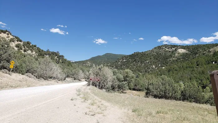Twelve Mile Flat Campground Picture 7