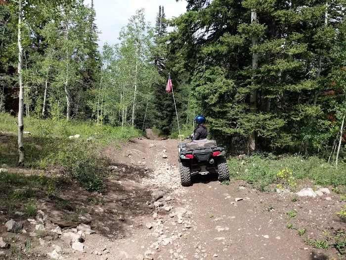 Willow Lake Campground Picture 3