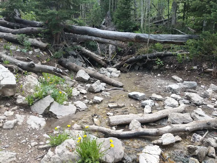 Willow Lake Campground Picture 5