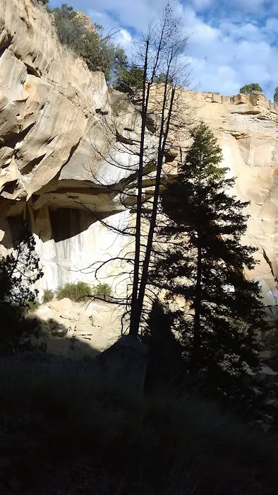 Little Bear Group Campground Picture 5