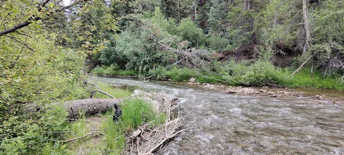 Little Bear Group Campground Picture 8