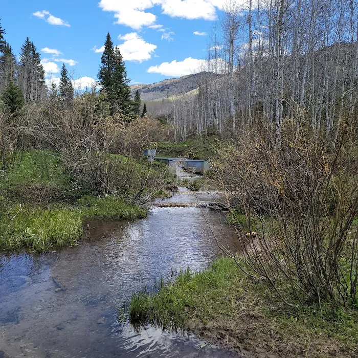 Indian Creek Campground Picture 3