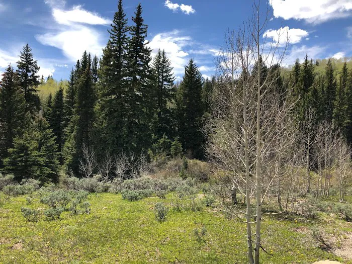 Indian Creek Campground Picture 6