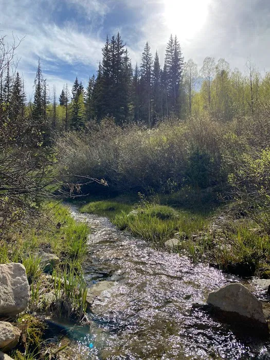Indian Creek Campground Picture 5