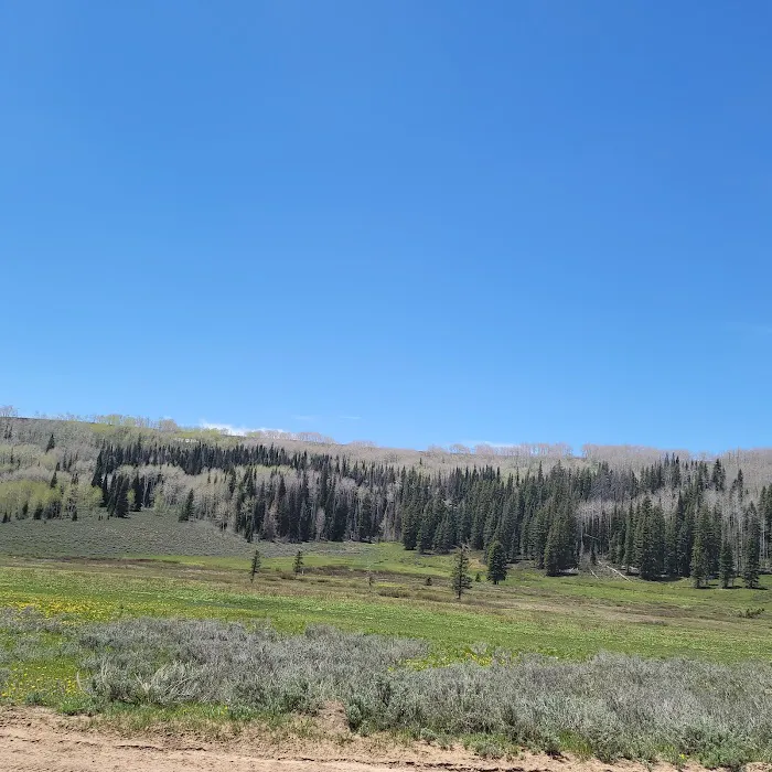 Indian Creek Campground Picture 8