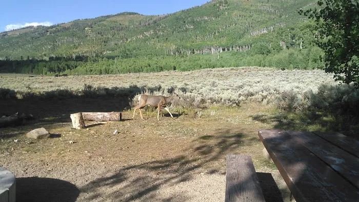 Indian Creek Campground Picture 7