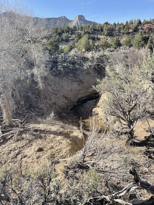 Hiawatha Hideout Picture 8