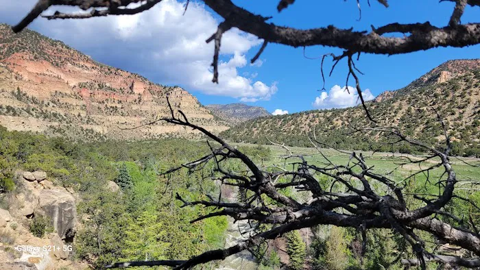 Bear Creek Campground Picture 6