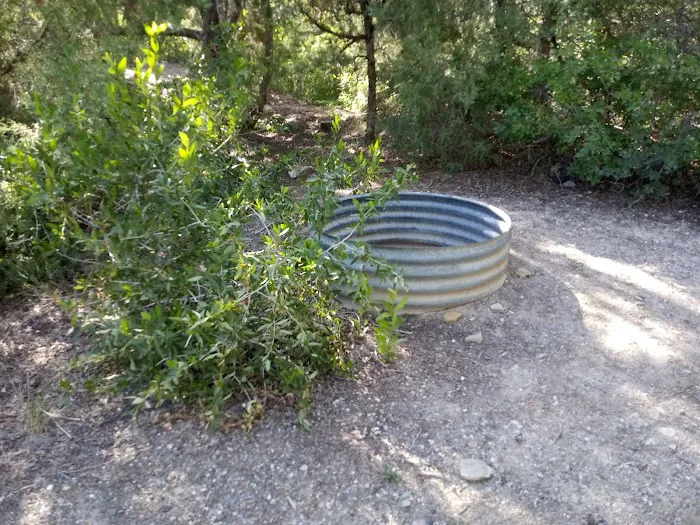 Bear Creek Campground Picture 5