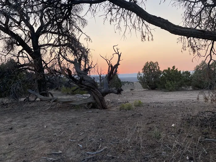 Wood Hill Campground Picture 10