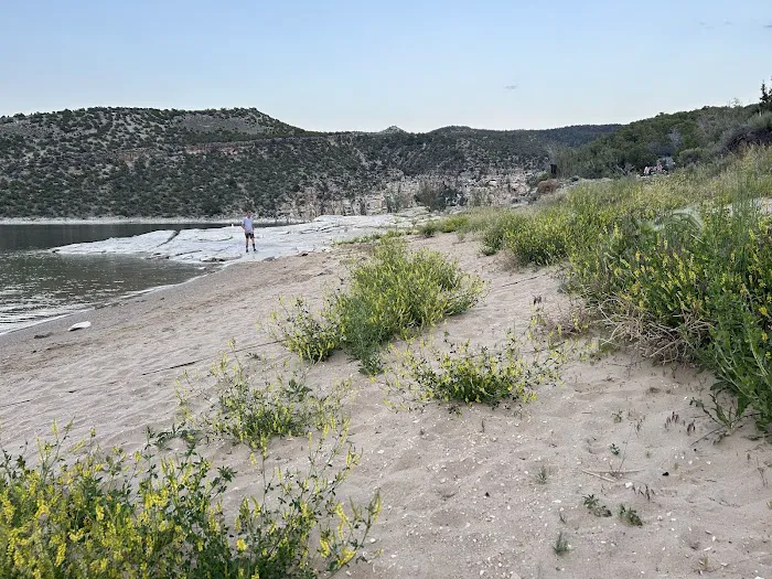 Kingfisher Island Campground Picture 6