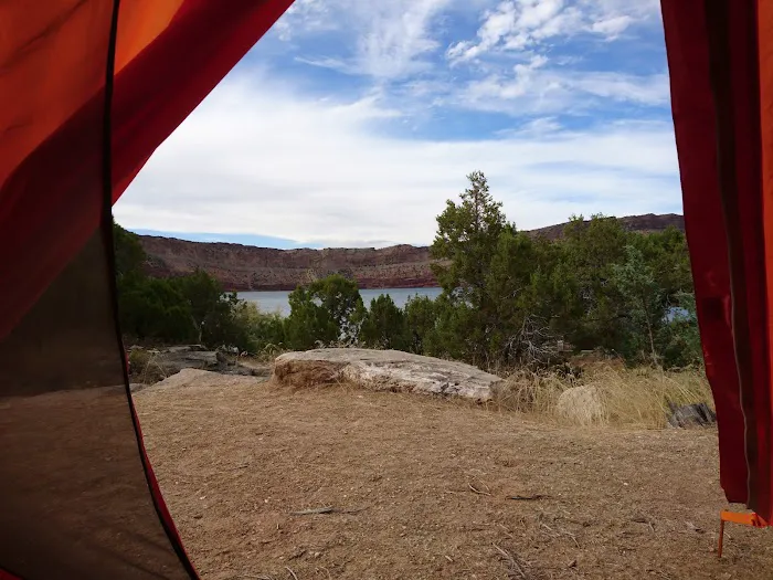 Kingfisher Island Campground Picture 9