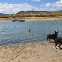 Stateline Cove Campground ico