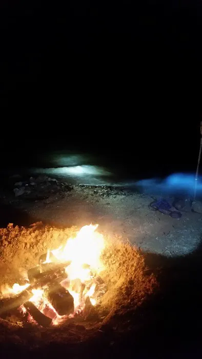 Stateline Cove Campground Picture 4
