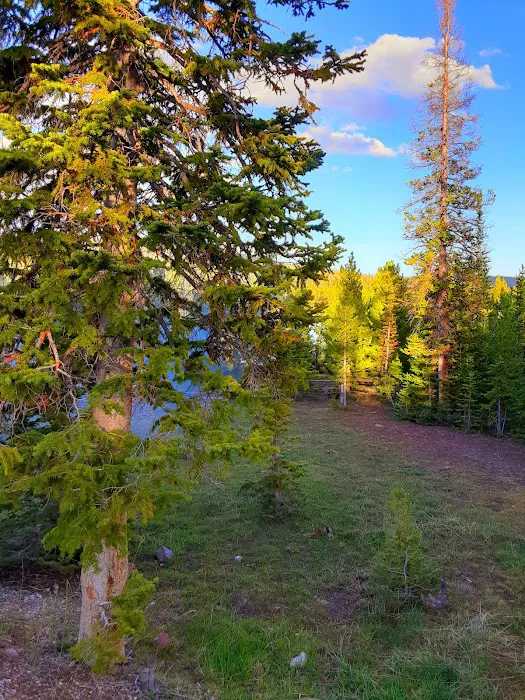 East Park Campground Picture 10
