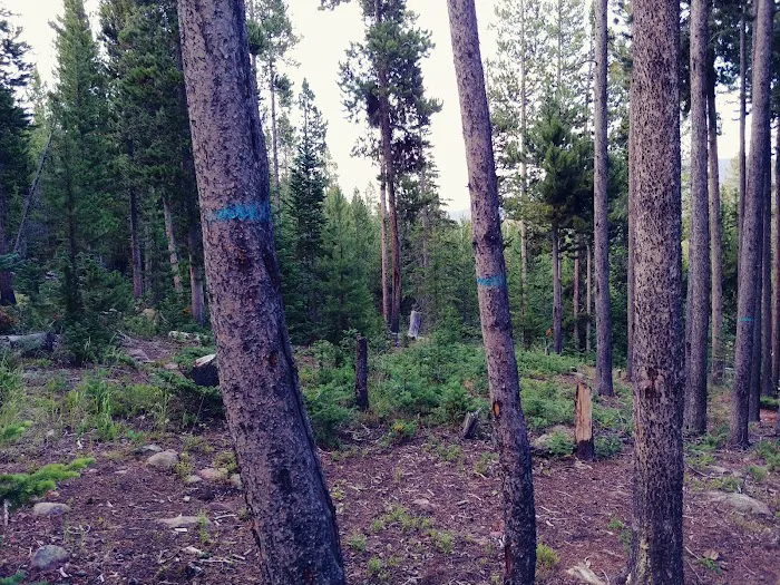 East Park Campground Picture 9