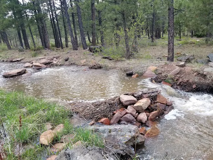 Skull Creek Campground Picture 5