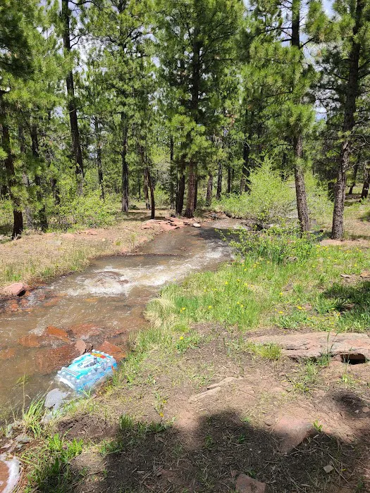 Skull Creek Campground Picture 2