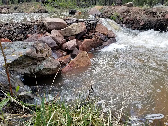 Skull Creek Campground Picture 7