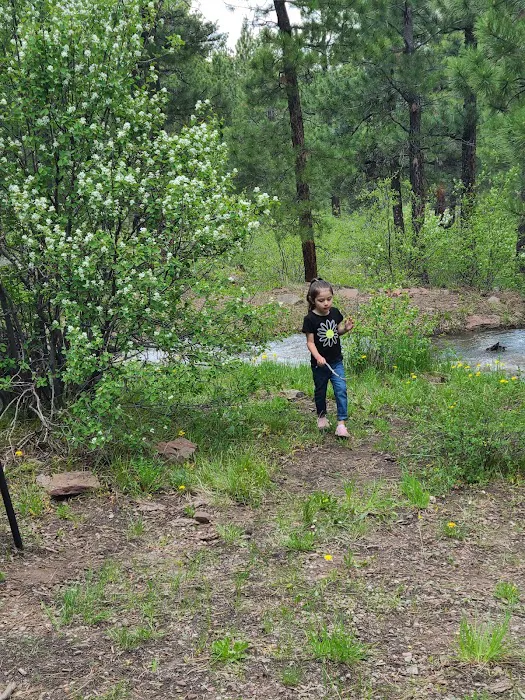 Skull Creek Campground Picture 9