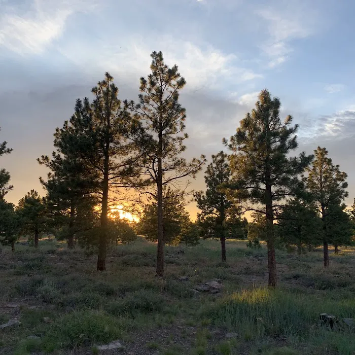 Red Canyon Campground Picture 5