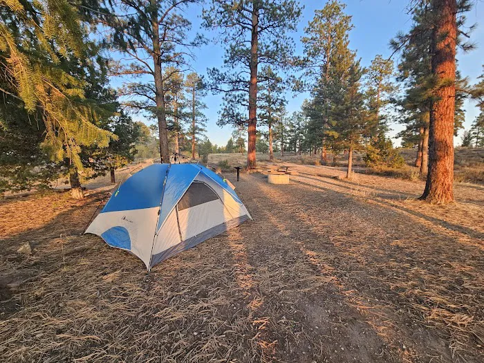 Canyon Rim Campground Picture 2