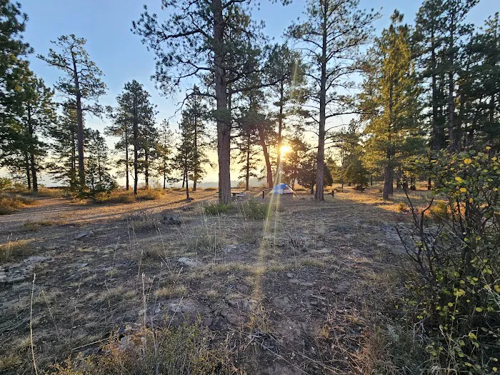 Canyon Rim Campground Picture 4