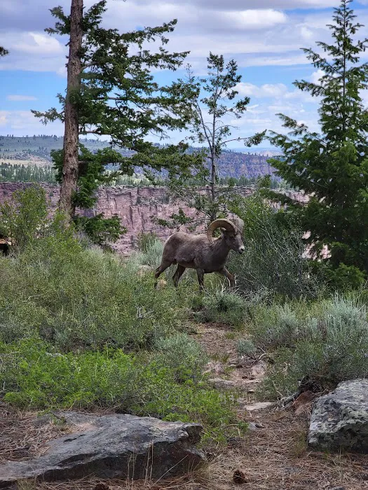 Canyon Rim Campground Picture 6