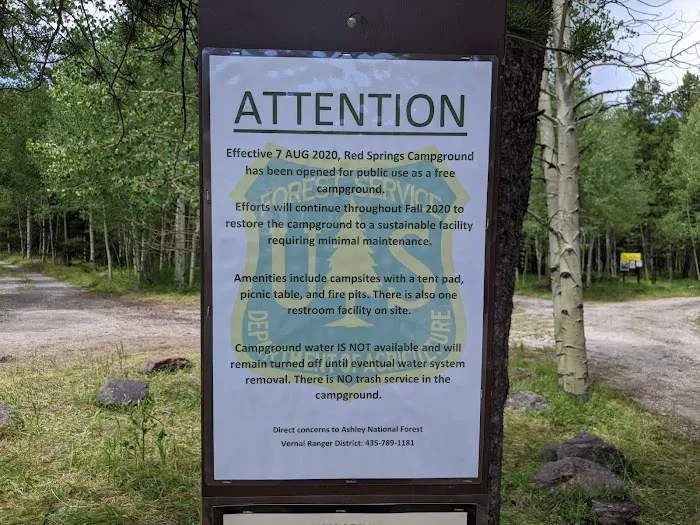 Red Springs Campground Picture 4