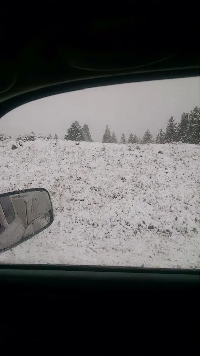 Red Springs Campground Picture 8