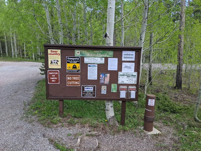 Lodgepole Campground Picture 10