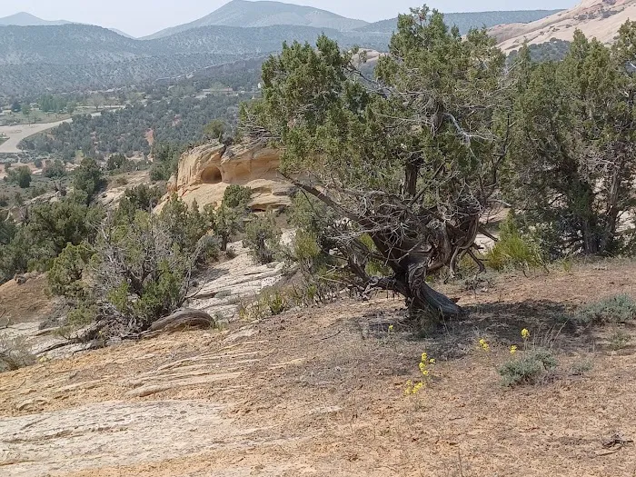 Red Fleet Campground Picture 10