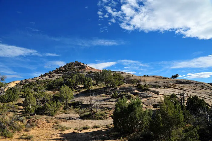 Red Fleet Campground Picture 7