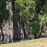 Steinaker State Park Group Campground ico