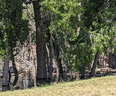 Steinaker State Park Group Campground