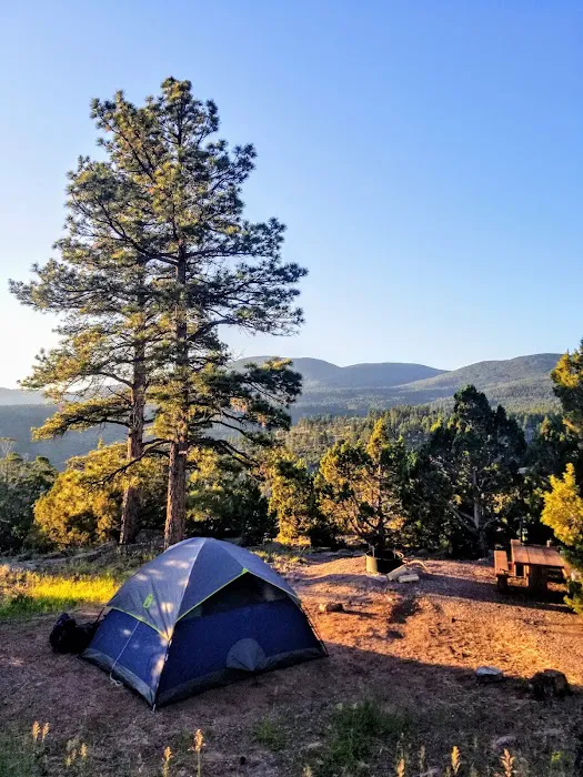 Firefighters Memorial Campground Picture 8