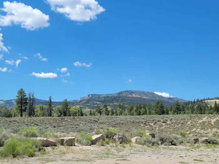 Joes Valley Pavilion Group Campground Picture 3