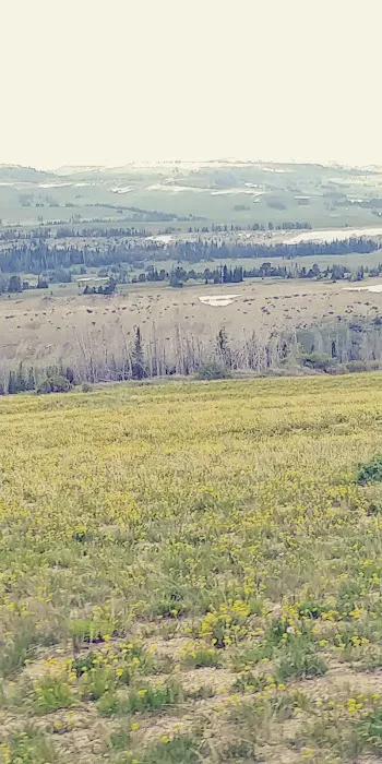 Joes Valley Pavilion Group Campground Picture 7