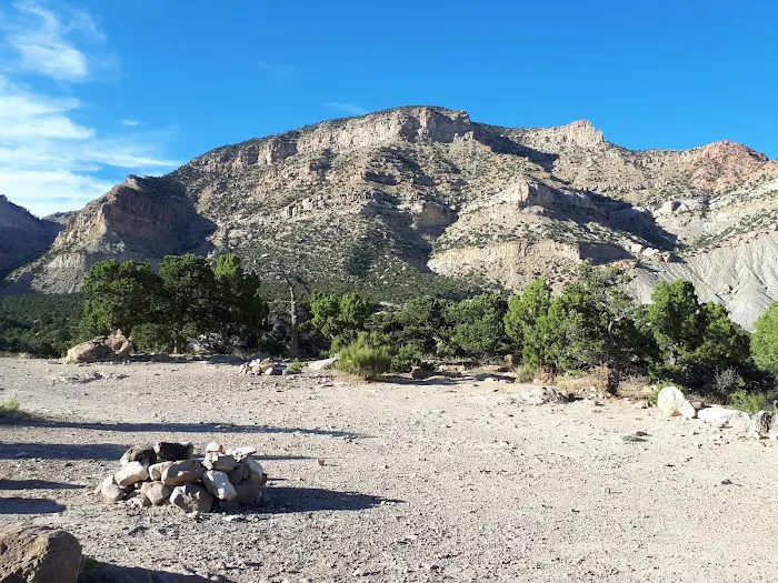New Joes Camping Area Picture 3
